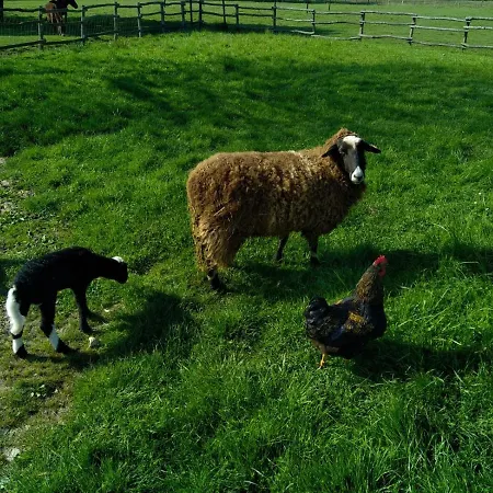 Holiday home Eco Nature, A La Ferme