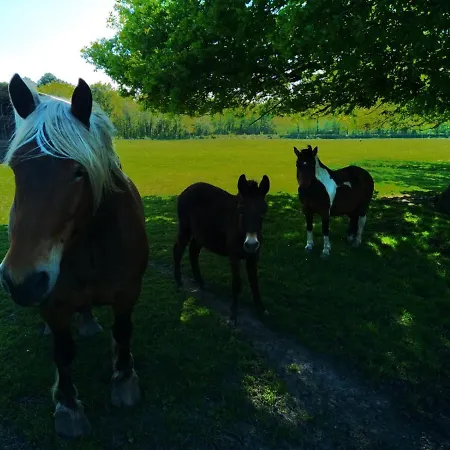 Holiday home Eco Nature, A La Ferme Vendays-Montalivet