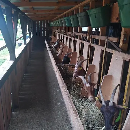 Holiday home Eco Nature, A La Ferme Vendays-Montalivet