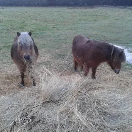Eco Nature, A La Ferme Holiday home