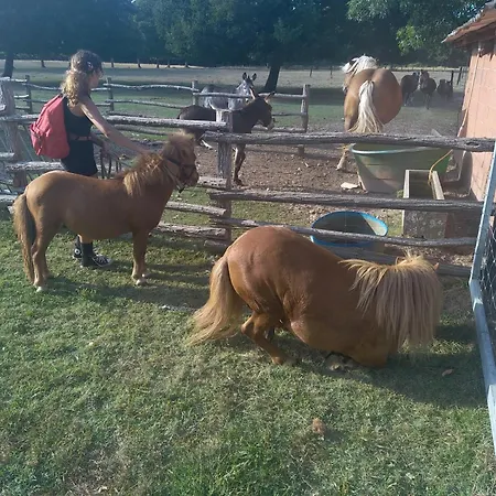 Eco Nature, A La Ferme ヴァンデ・モンタリヴェ