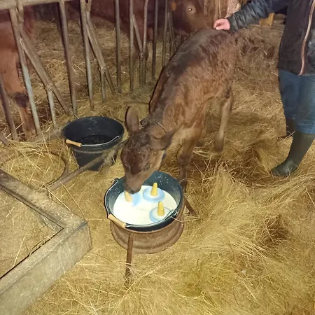 別荘 Eco Nature, A La Ferme