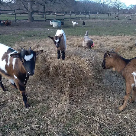 Eco Nature, A La Ferme *